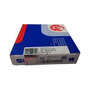 رینگ موتور خودرو